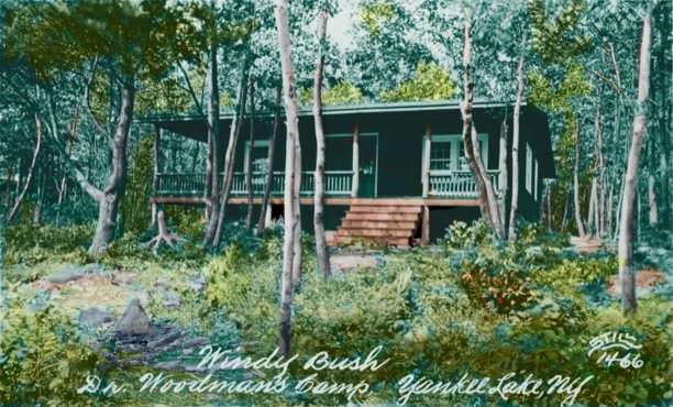 Windy Bush camp in color