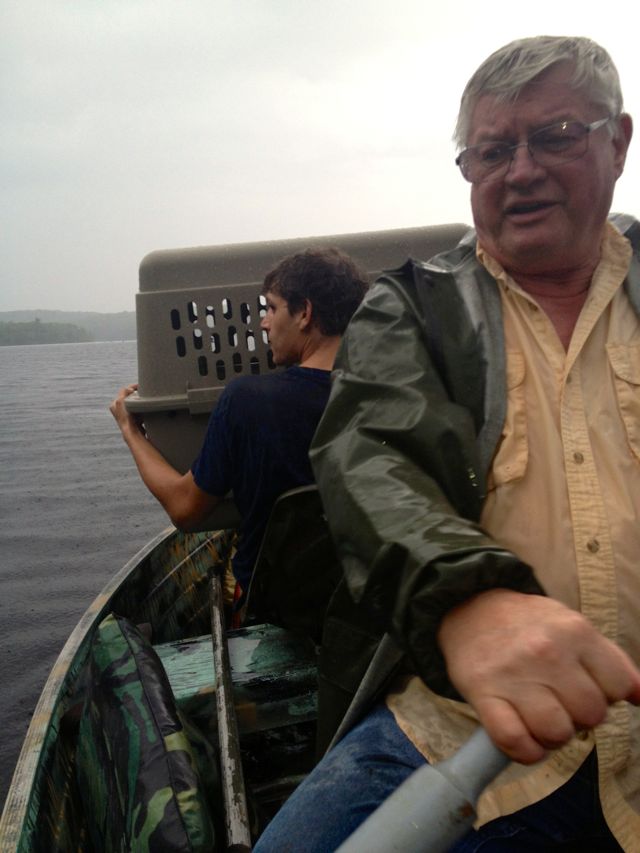 Approach to Big Island in the rain